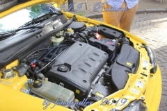 53752137_2426128664085951_8606607199776538624_n