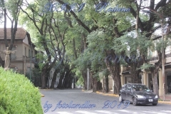 53841420_2426128727419278_3681135350354280448_n