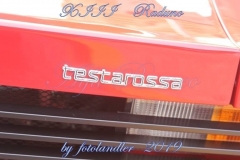 54521413_2426130280752456_9219786495076859904_n